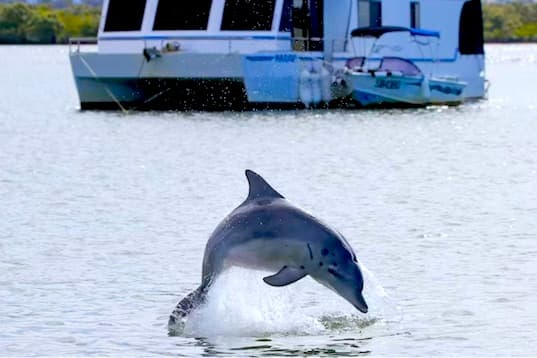 Wildlife Animals Tour - Media 1