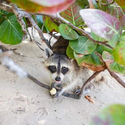 Wildlife Animals Tour - Media 6