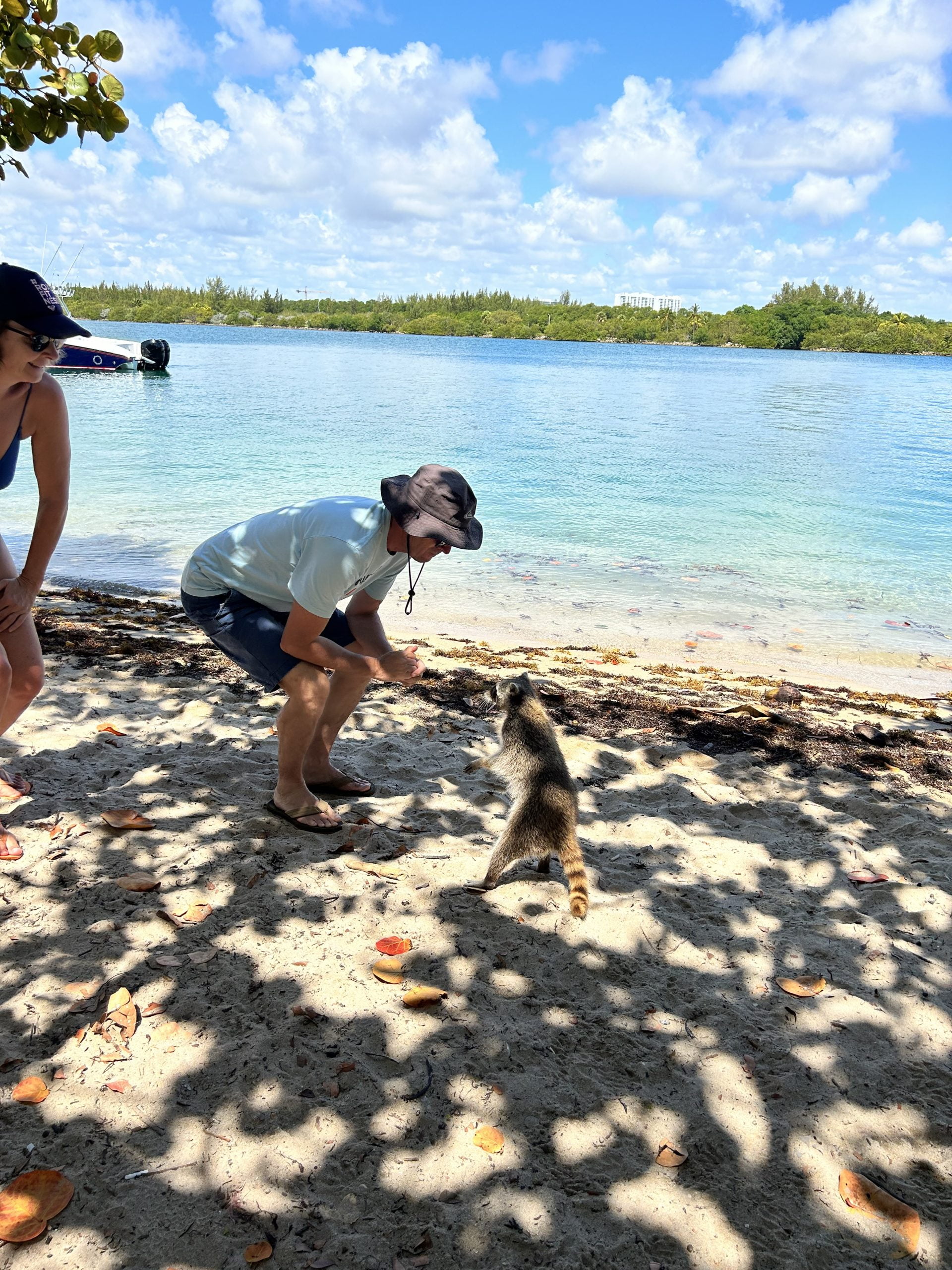 - Embark on an unforgettable journey with our newest offering: the Raccoon Island Tour