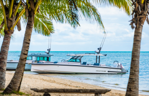 38ft Axopar,boat rental - 38ft Axopar