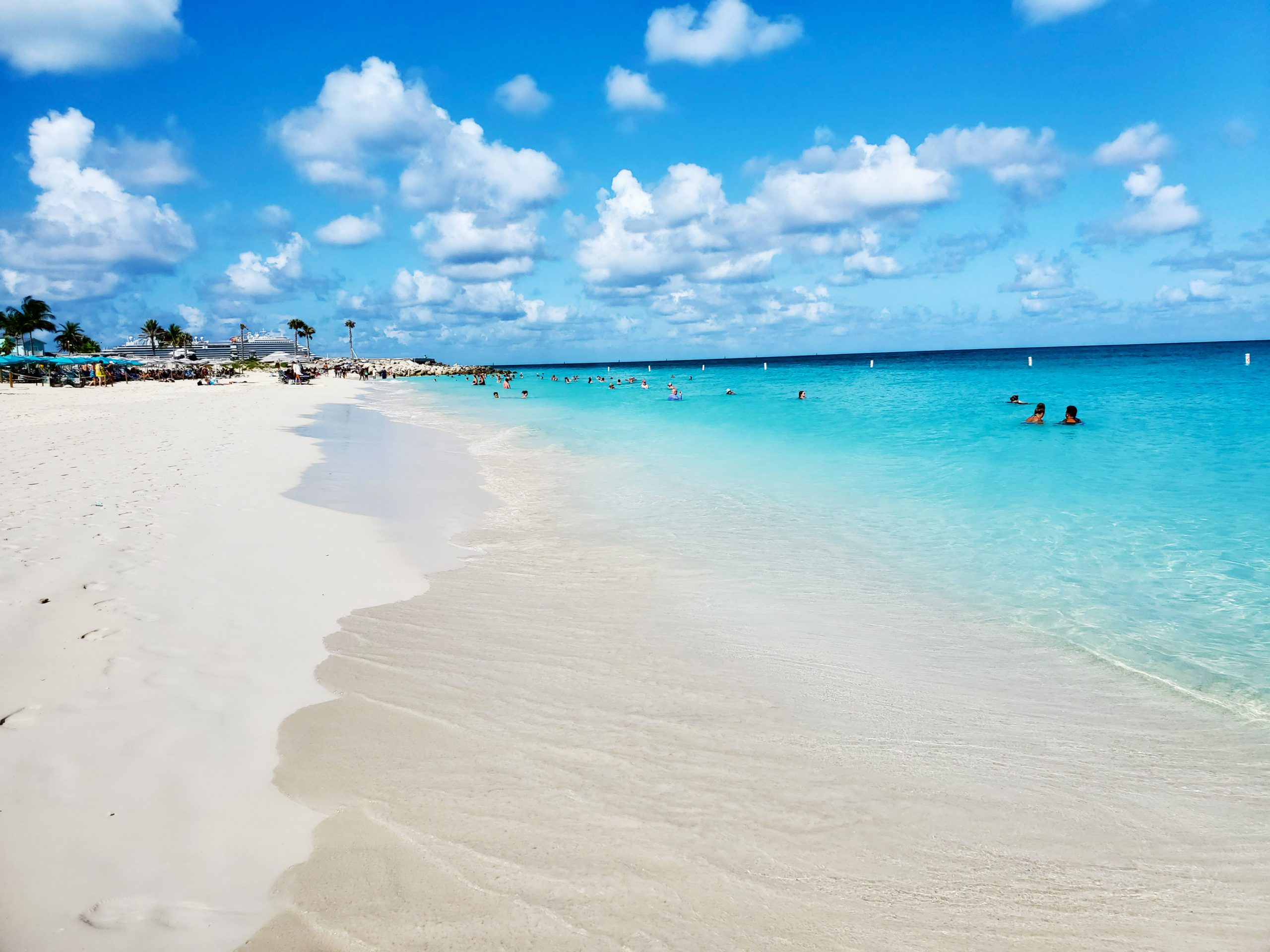 Bimini experience